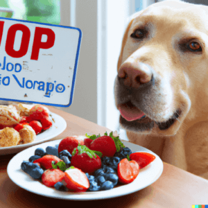 Can Dogs Eat Caramel Safely? A golden retriever sitting next to a plate of fresh fruits and a plate with caramel, with a "no no" sign next to the caramel plate.