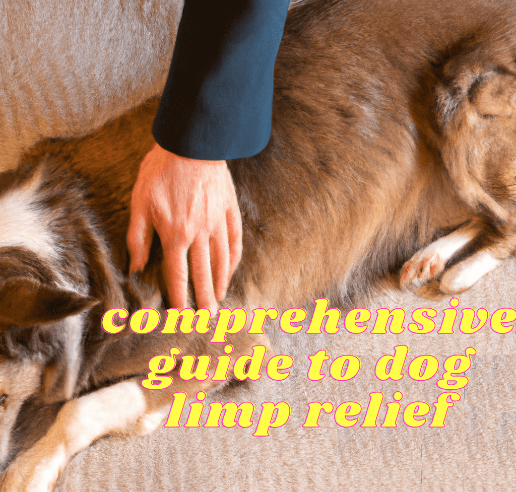 Pet owner comforting limping dog at home with remedies from dog limp relief guide